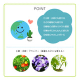 HYPONICA LIQUID FERTILIZER  即用營養液 500ML