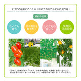 HYPONICA LIQUID FERTILIZER  即用營養液 500ML